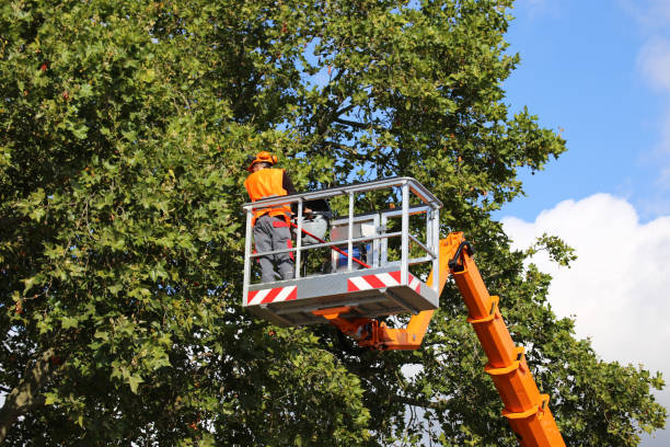  Middletown, IN Tree Services Pros